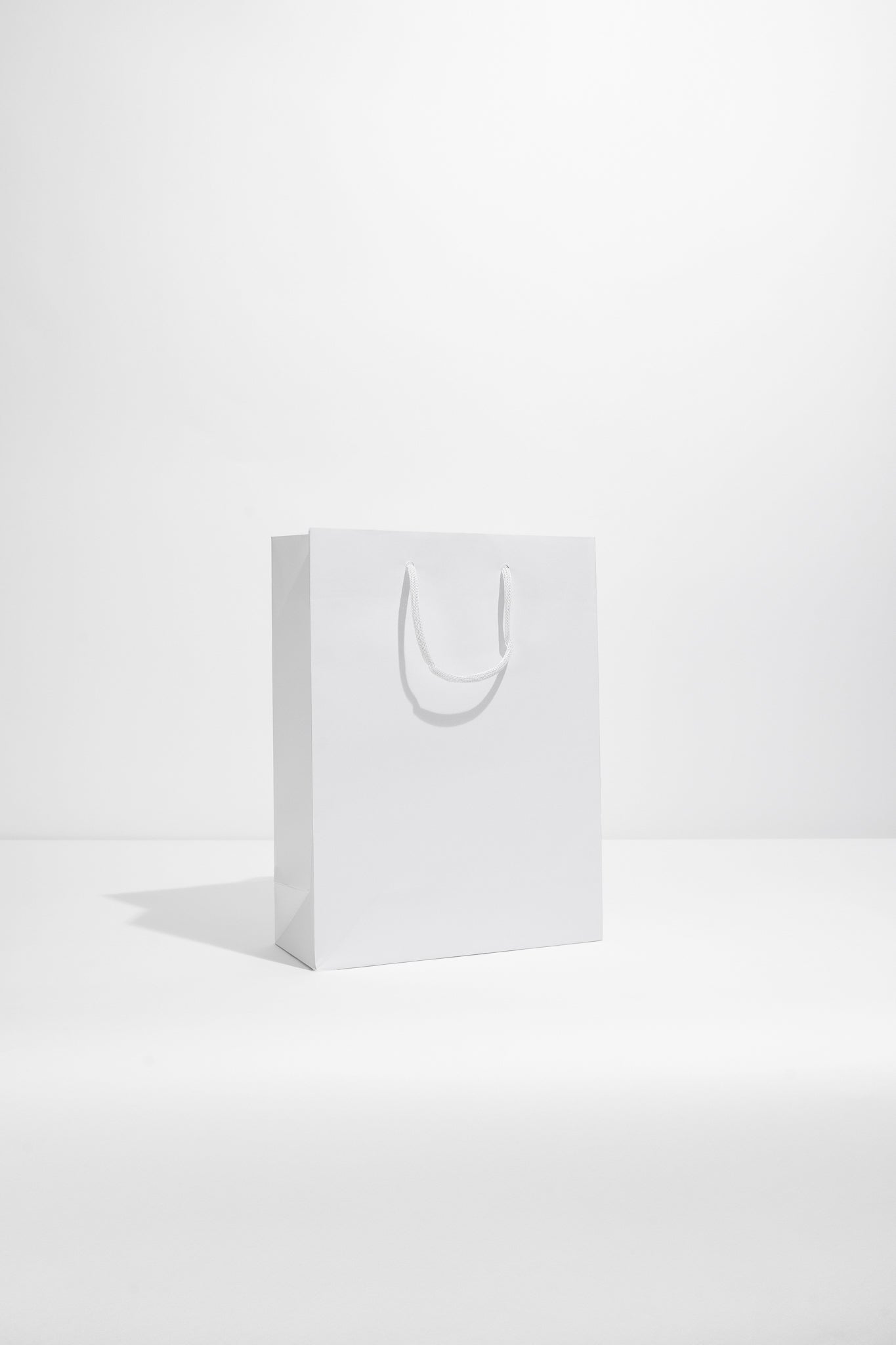 Luxury Paper Carrier Bag