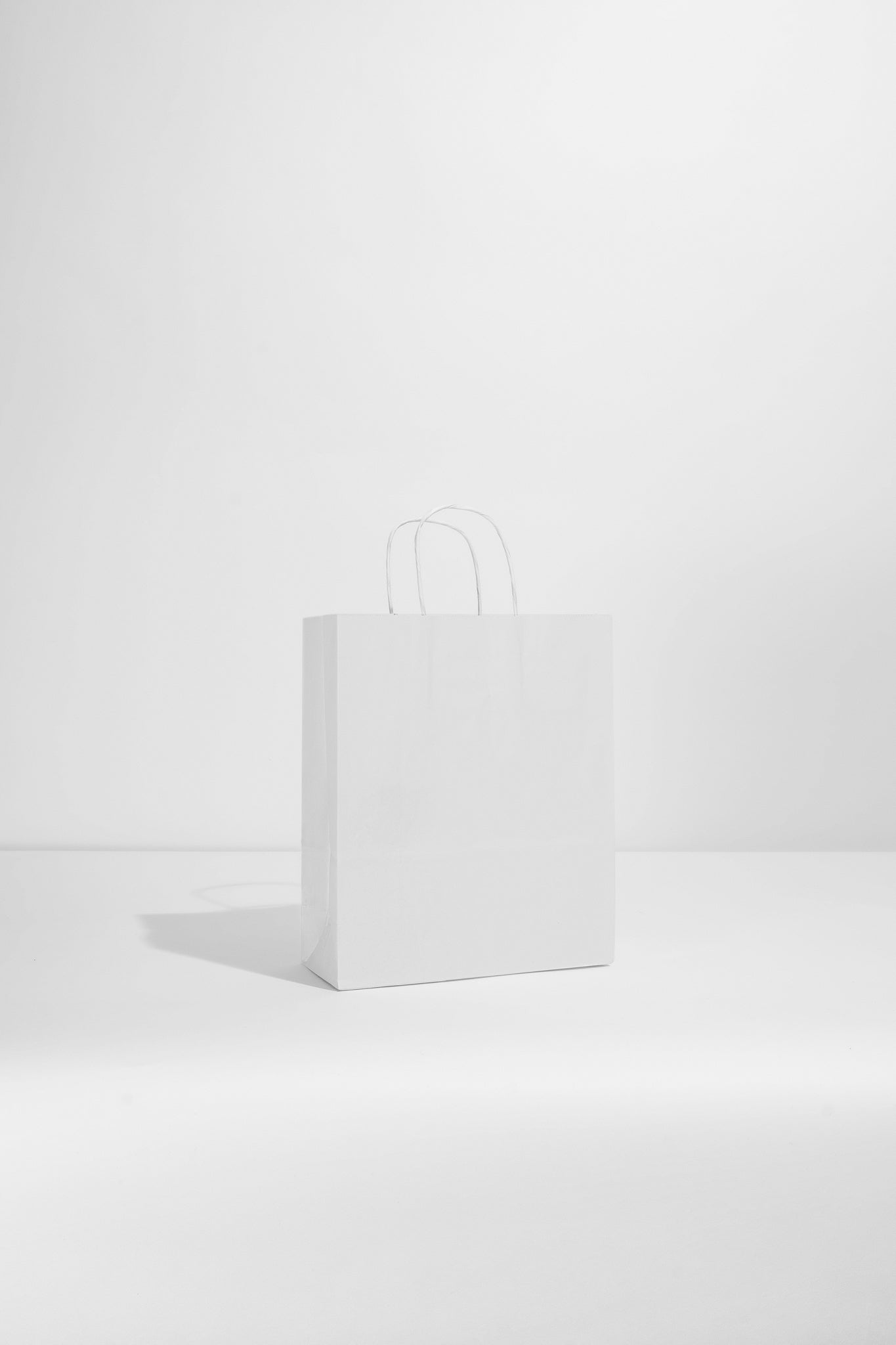 STANDARD PAPER CARRIER BAGS
