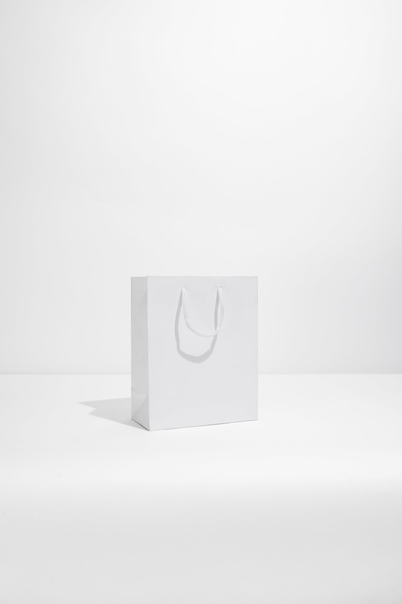 Luxury Paper Carrier Bag
