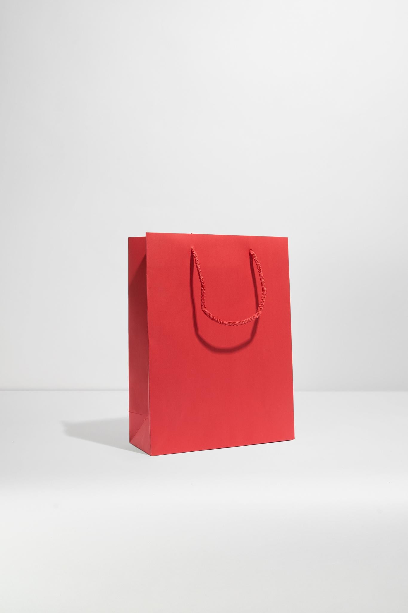 Luxury Bag